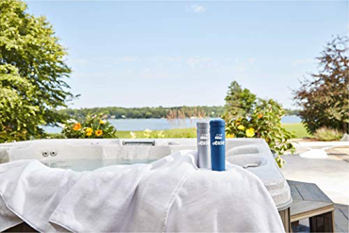 FROG @Ease in-Line Sanitizing System for Hot Tubs, for use in Marquis Spas, Caldera Spas, Artesian Spas and Hot Springs Spas up to 600 gallons, Hot Tub Sanitizer, Cyanuric Acid Free