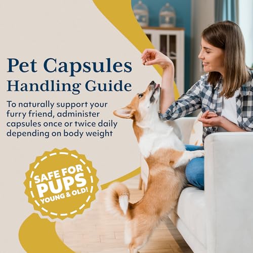 Ayush Pet Skin Plus, Neem Supplement for Healthy Skin and Coat, Supports Gut and Immunity, 90 Capsules