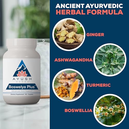 Ayush Herbs Boswelya Plus - Glucosamine Chondroitin Joint Support Supplement, Turmeric Muscle Support for Men & Women, Joint Care with Curcumin - 90 Vegetarian Capsules (1 Count)