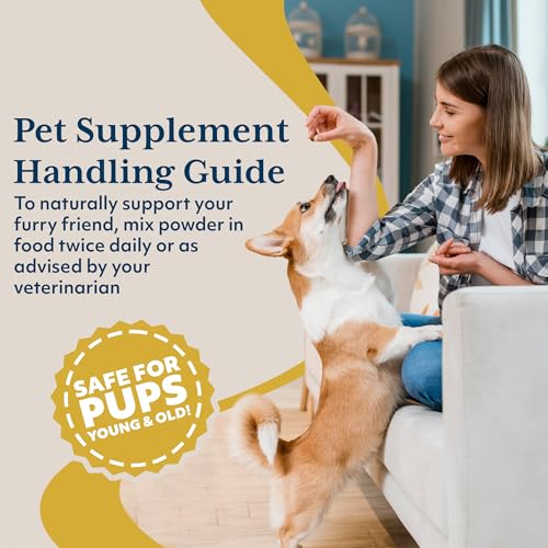 Ayush Herbs Ayush Pet CoCurcumin with Coq10, Muscle and Joint Pet Superfood Powder, Heart and Digestion Support, Small or Large Animals, Young and Senior Pet Supplement, 5.2 Ounces