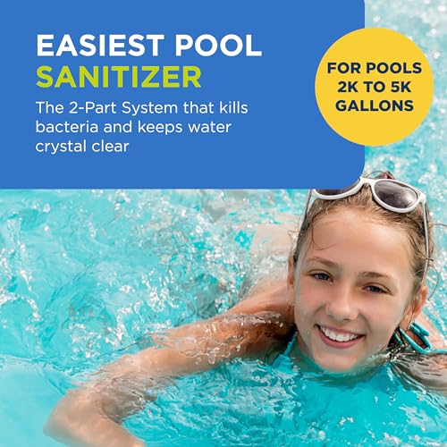 Flippin FROG Floating Sanitizer System for Pools 2,000 to 5,000 Gallons - Prefilled Floater with Sanitizing Minerals and Chlorine for Easy Pool Treatment & Maintenance - 1 Pack