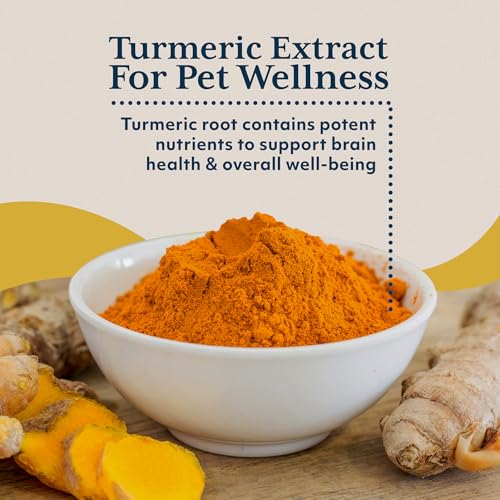 Ayush Pet Mobility, Curcumin Supplement for Healthy Joints, Pure and Powerful Joint, Digestion, and Brain Support, Large or Small Pets, 90 Capsules