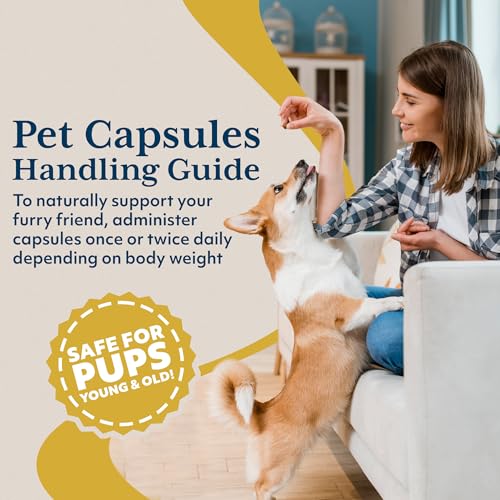 Ayush Pet Mobility, Curcumin Supplement for Healthy Joints, Pure and Powerful Joint, Digestion, and Brain Support, Large or Small Pets, 90 Capsules