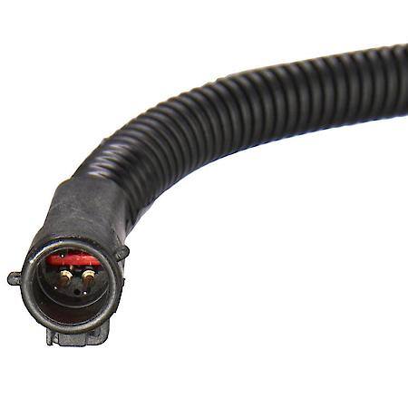 Fuel Pump and Sender Assembly