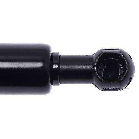 Trunk Lid Lift Support-New