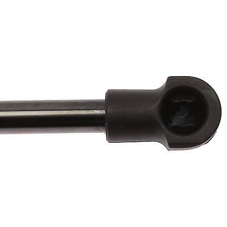 Liftgate Lift Support-New
