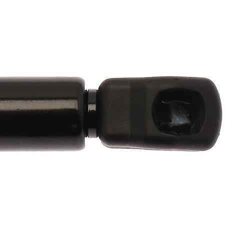 Liftgate Lift Support-New