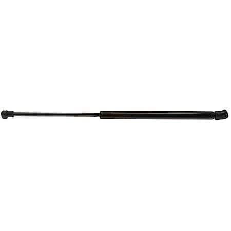 Liftgate Lift Support-New