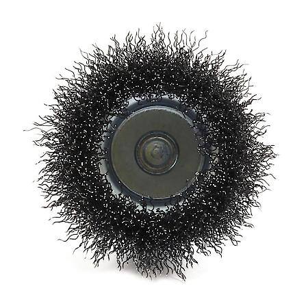 Wire Cup Brush 3 In Coarse Crimp Wire 1/4 In Hex Shank