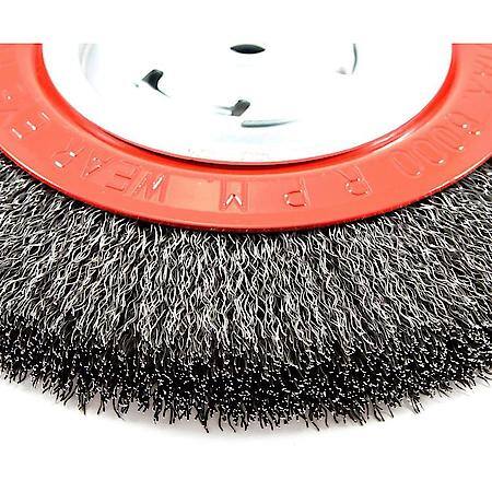 Crimped Wire Wheel, 8 inch x .014 inch x 1/2 inch - 5/8 inch Arbor