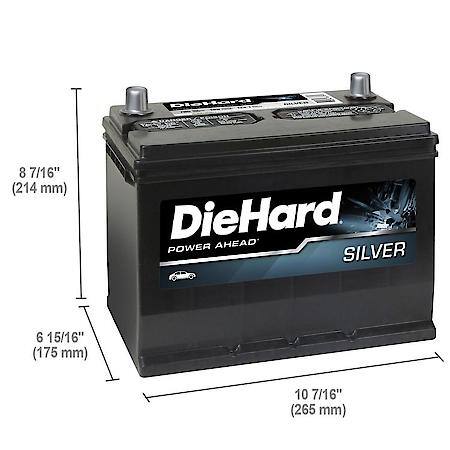 Battery : 124 Group Size, 700 CCA, 875 CA, 100 Minute Reserve Capacity