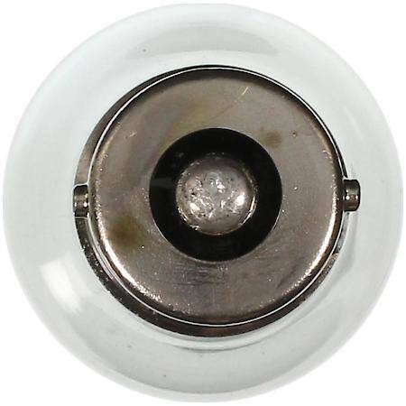 Large Standard Mini Lamp (Sold by each)