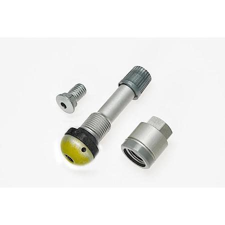Silver Finish-Includes Valve, Plastic Cap, Core, Grommet, Shear Collar Hex Nut
