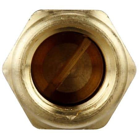 Fuel Pump Check Valve