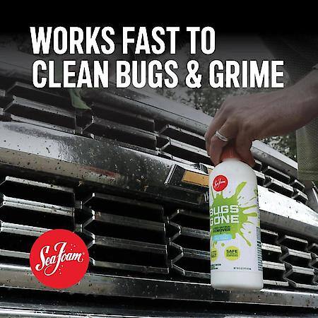 Sea Foam Bugs-B-Gone, Concentrate, BBG4, 1 Gallon