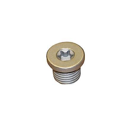 Oil Drain Plug
