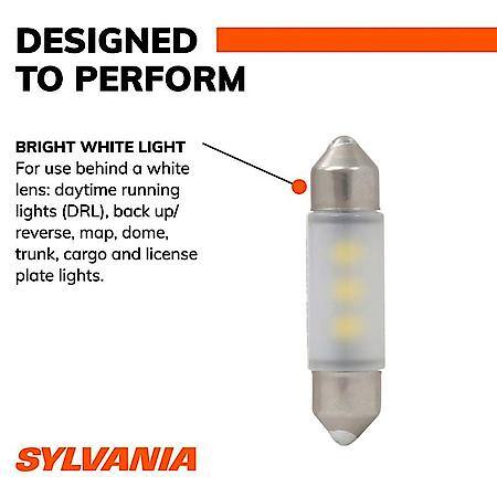 6461 White LED Mini Light Bulb, 1 Pack