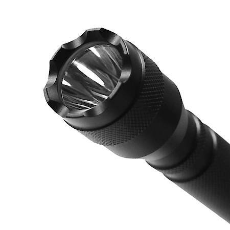 Blackjack Flashlight, Light Output: 180 Lumens