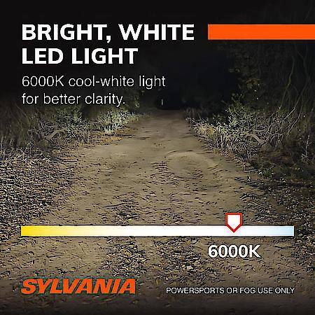 9145: LED Fog Light Bulb, 6000K Cool White Light, 2 Pack