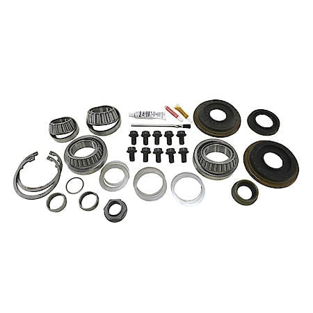 Master Overhaul Kit for C200 IFS Front Differential