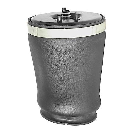 Rear Left Air Spring