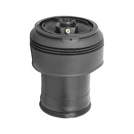 Rear Air Spring Assembly