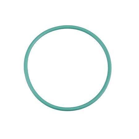 Fuel Pump O-Ring, Oem Green Viton Material, 122Mm Od X 112Mm Id