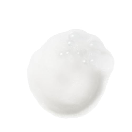 Weleda Gentle Cleansing Face Foam, 5 Ounce