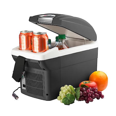 12V Elec 6L Cooler