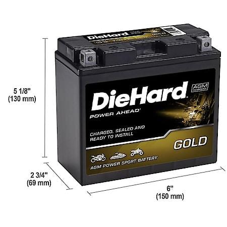Battery: T12B-4 Group Size, 175 CCA, 10 Amp Hour Capacity