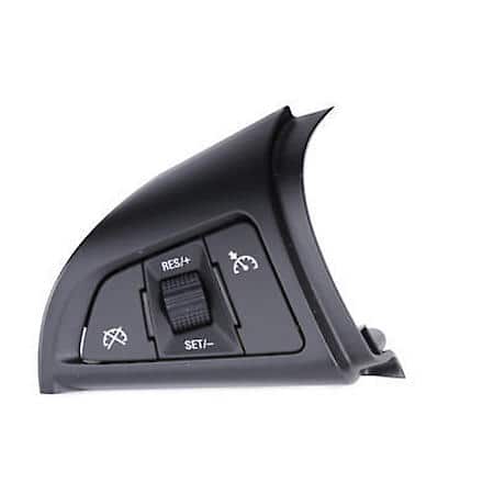 Jet Black and Ice Blue Cruise Control Switch