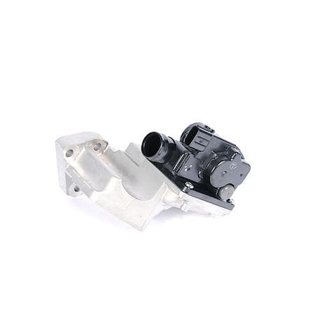 Secondary Air Injection Check Valve