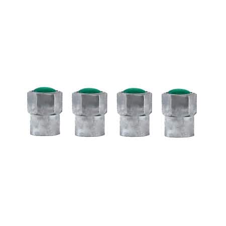 Nitrogen Valve Caps