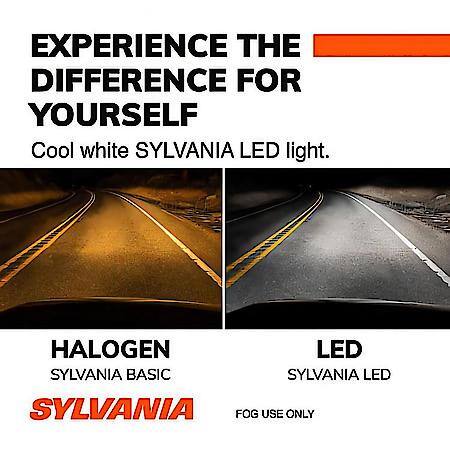 H8 : LED Fog Light Bulb, 6000K Cool White Light, 2 Pack