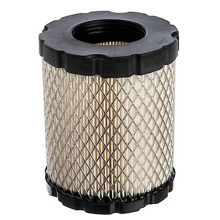 Air Filter, Fits Model Series 44M900, 44P900, 44Q900, 49L900, 49M900