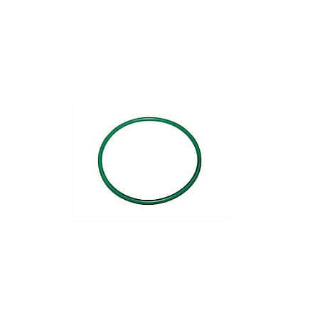 Fuel Pump O-Ring