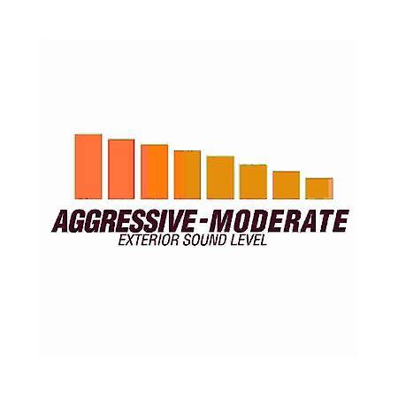 Direct-Fit Muffler 409S - Flowfx - Moderate/Aggressive