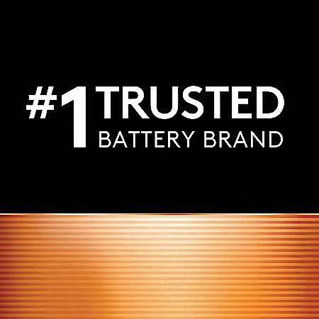 Coppertop AAA Alkaline Batteries: Triple A Batteries, 16 Pack