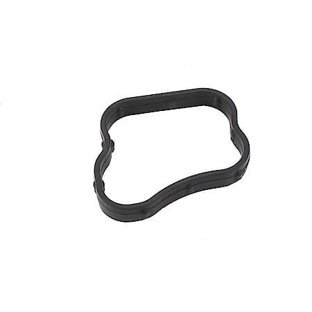 Water Outlet Seal
