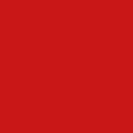 VHT, High Temperature Plastic Paint, Matte, Red, 11-oz