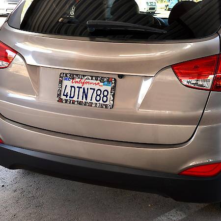 DGA Bonitas License Plate Frame