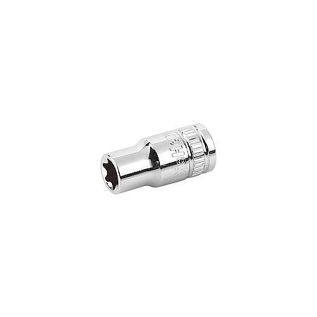 DieHard 1/4" Drive External Star Socket E8 - Durable & Reliable