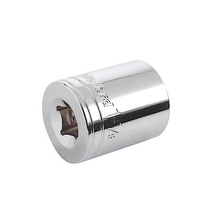 1/2" Drive 12-Point Socket 1-1/8"