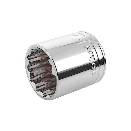 1/2" Drive 12-Point Socket 1-1/4"