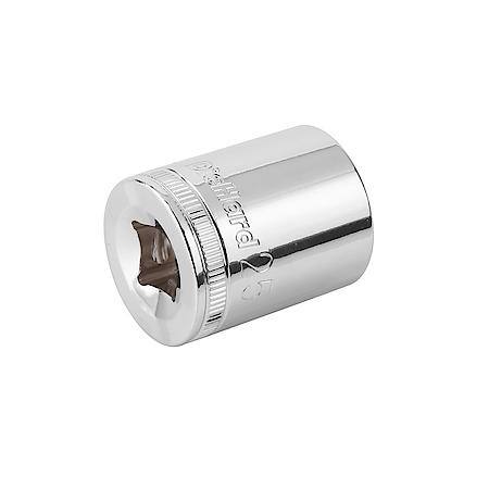 1/2" Drive 12-Point Socket 25mm
