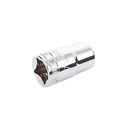 1/2" Drive 12-Point Socket 14mm