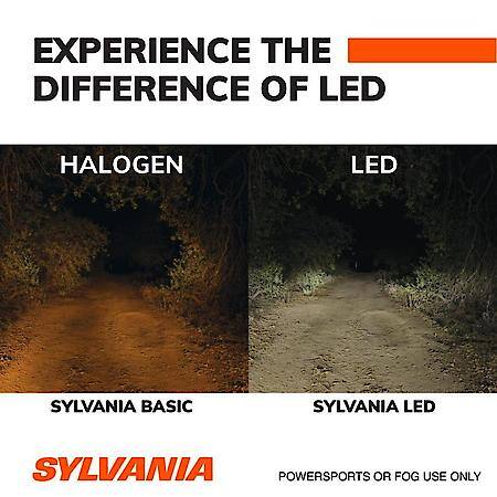 H1 LED Powersports Headlight or Fog Bulb, 6000K Cool White Light, 2 Pack