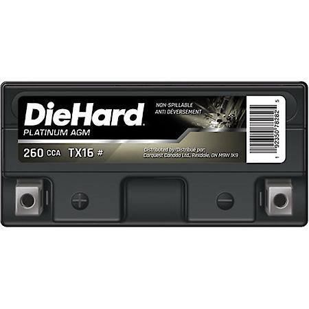 Battery: Group Size TX16, 260 CCA