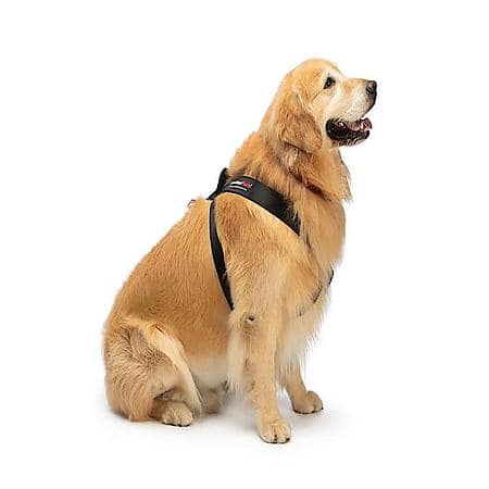 Rectangular Strap, 2XL Size, Black, Webbing Material