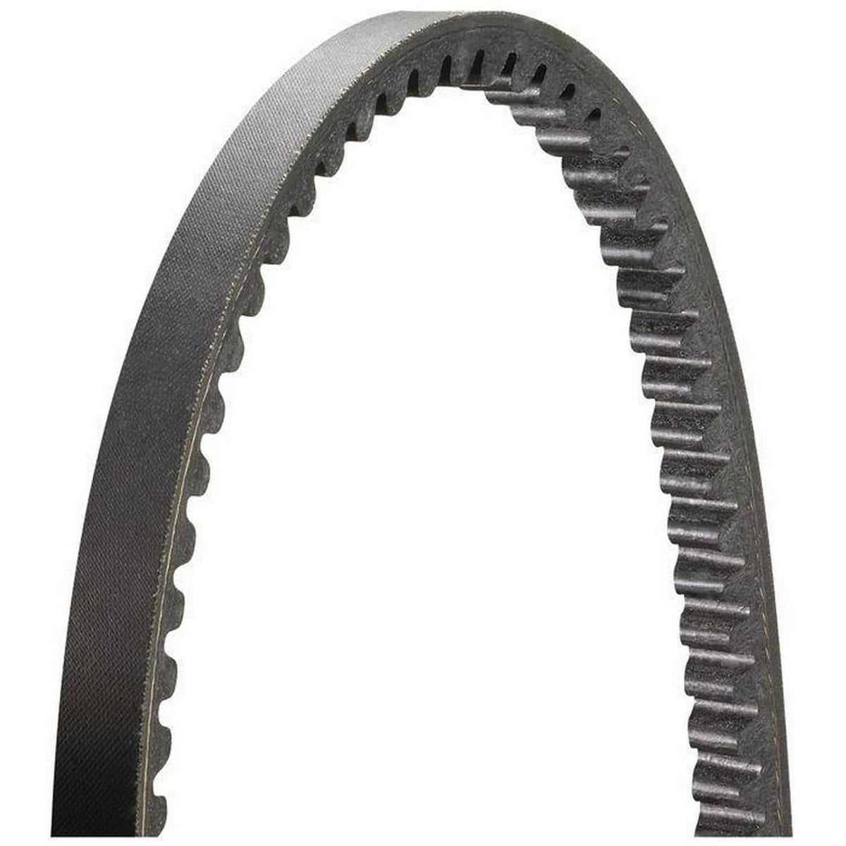 ACDelco Gold 32 63/64in Accessory Drive Belt 15330 (1/3)